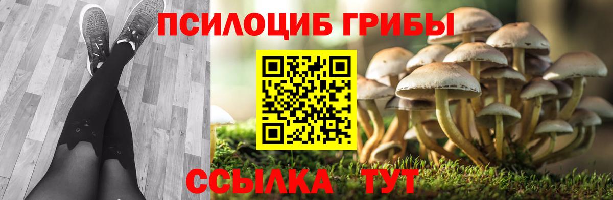 Псилоцибиновые грибы GOLDEN TEACHER Ростов Великий